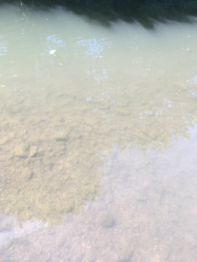 Wassertrübung= Fällung von Calciumcarbonat.JPG