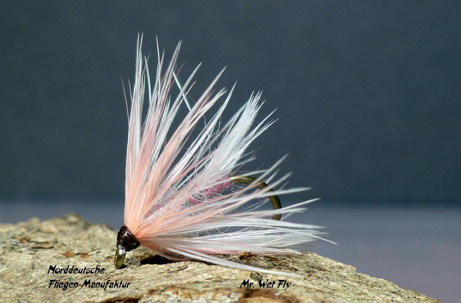 Wet Fly Variationen 0731.JPG