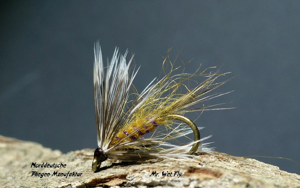 Wet Fly Variationen 0751.JPG