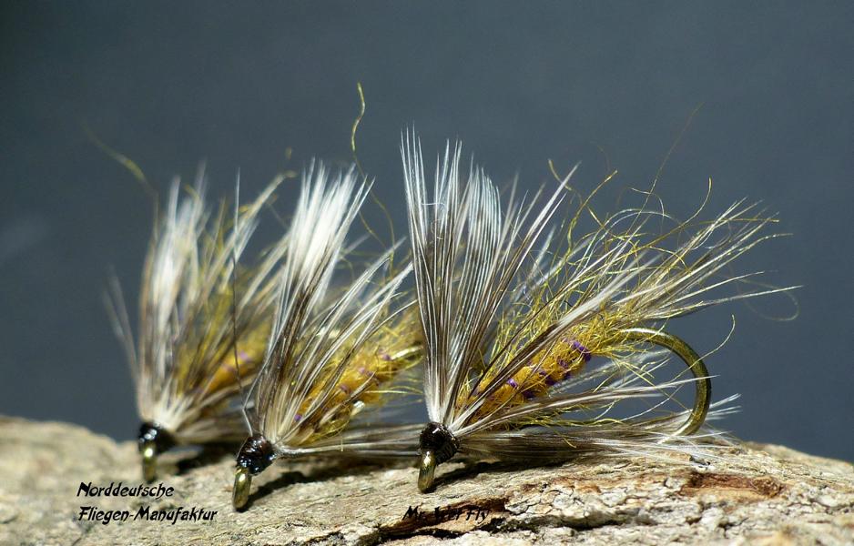 Wet Fly Variationen 0761.JPG