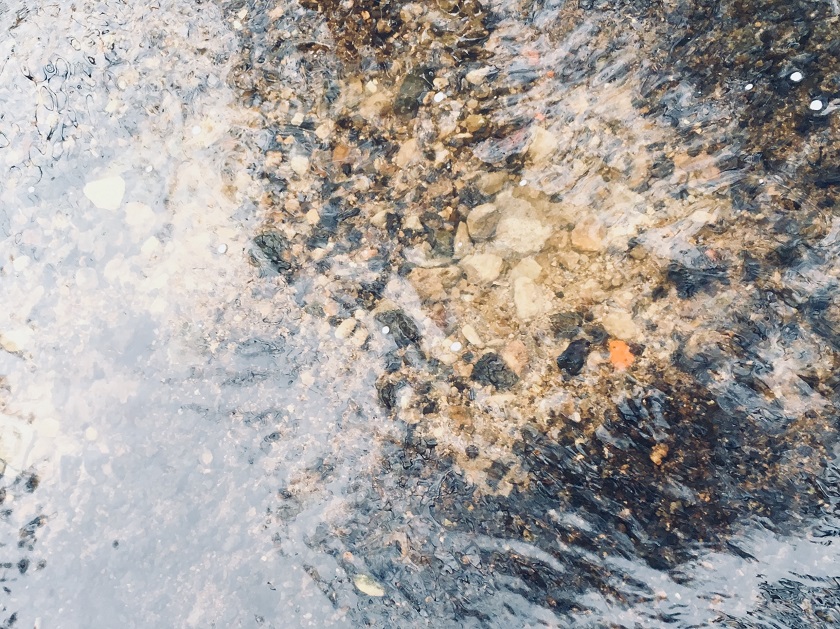 Einblick - unfertige Laichgrube.jpg