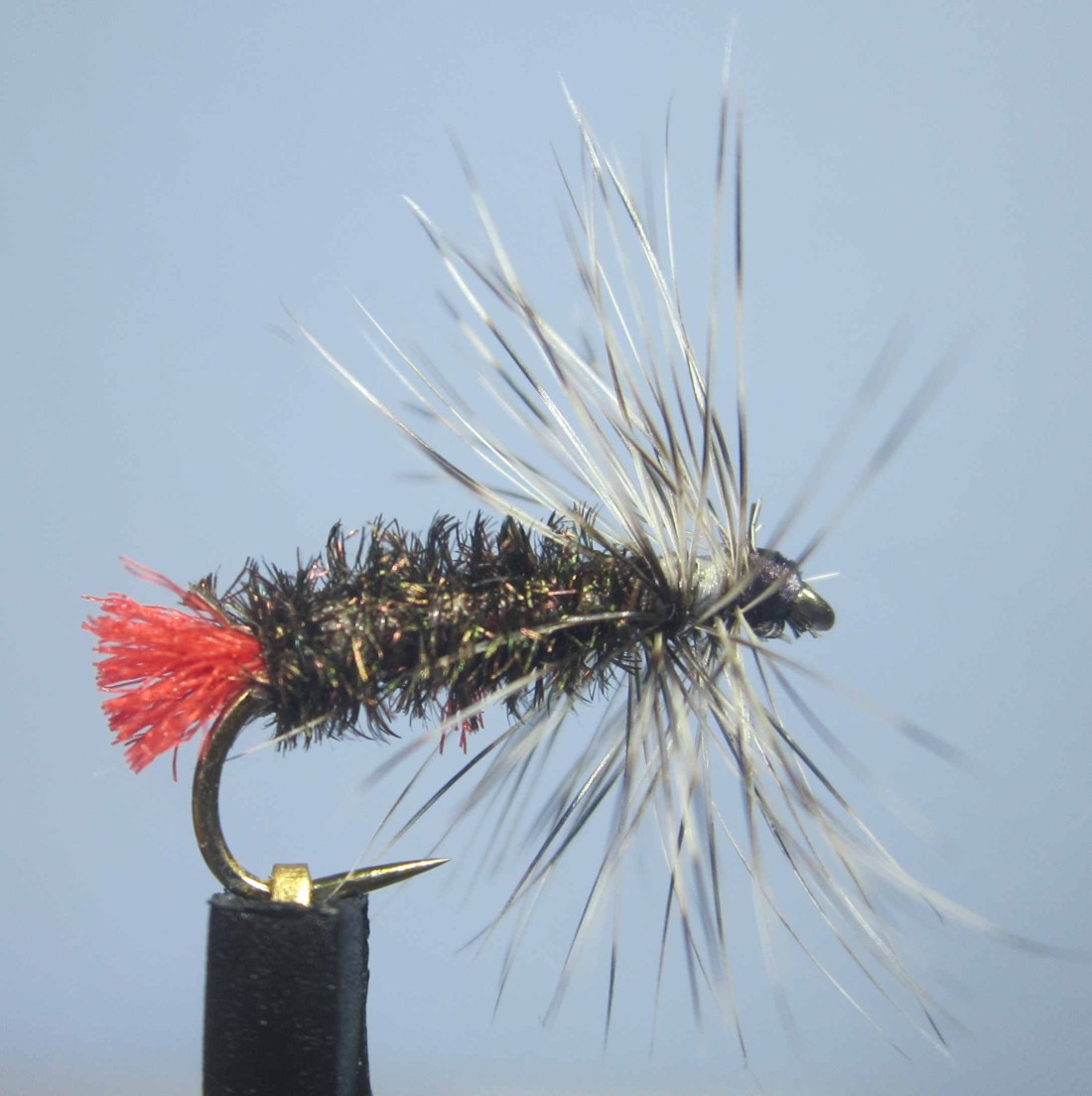 Hexe auf 14´er Haken