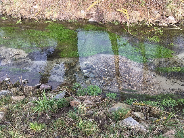 11.02.2018 Winzer Regensb. Entwässerungsgraben 1..JPG
