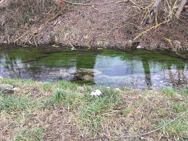 11.02.2018 Winzer Regensb. Entwässerungsgraben 2..JPG