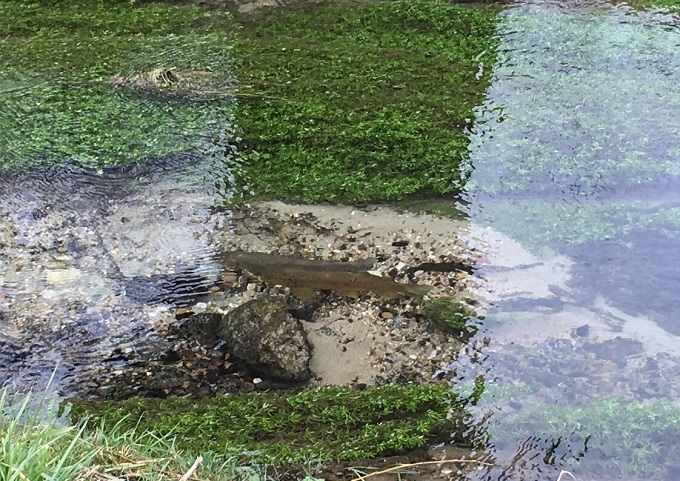 11.02.2018 Winzer Regensb. Entwässerungsgraben 3..jpg