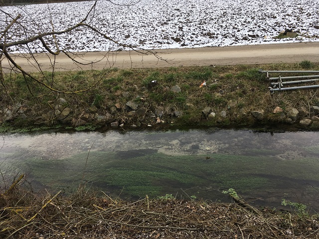 11.02.2018 Winzer Regensb. Entwässerungsgraben 4..JPG