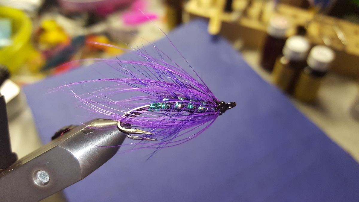 Violetta.jpg