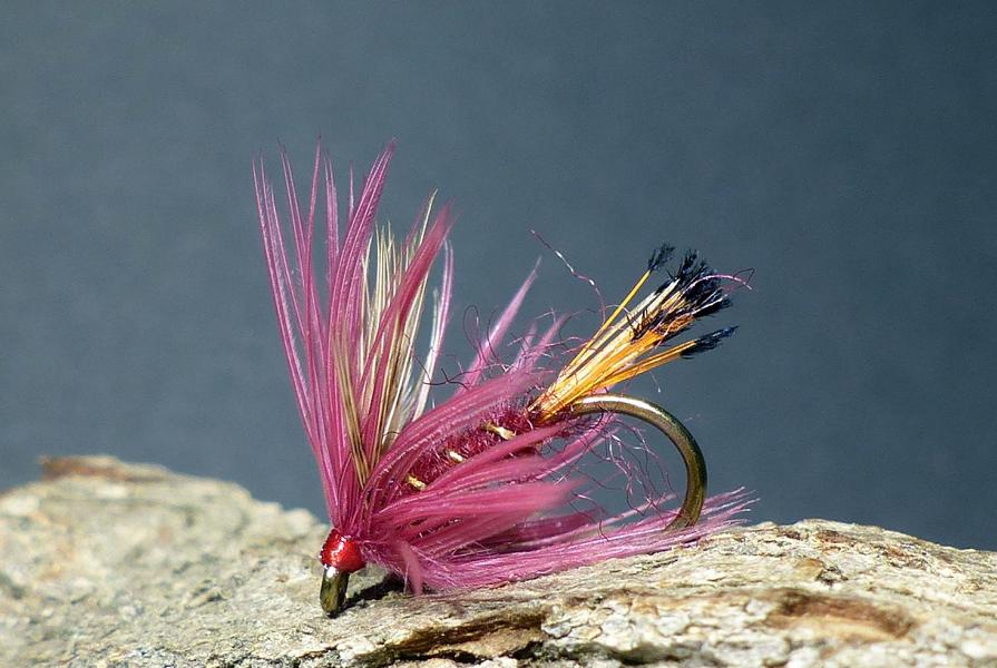 Wet Fly Variationen 0771.JPG