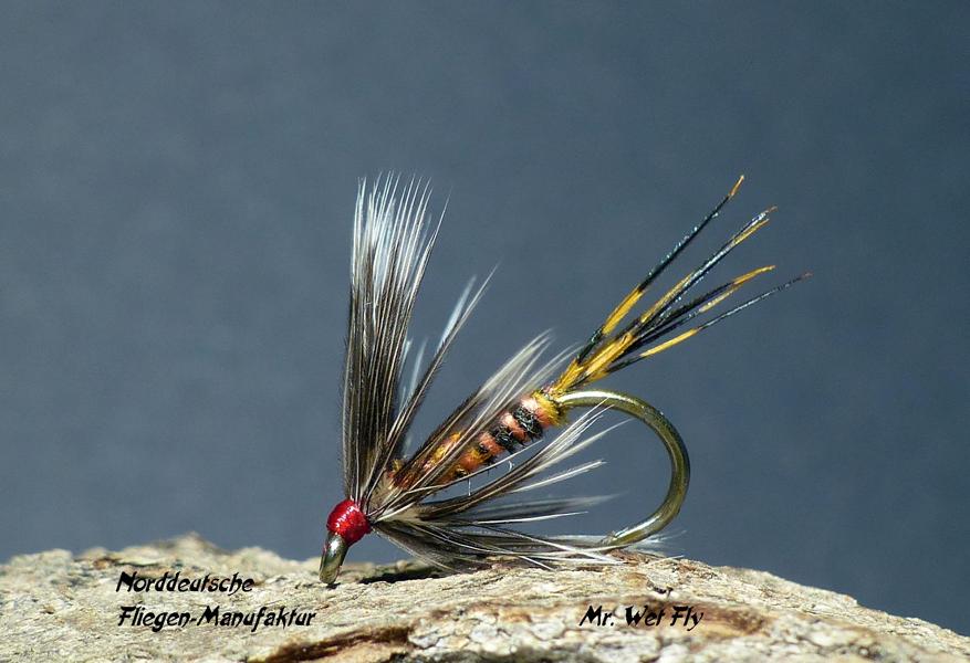 Wet Fly Variationen 0791.JPG