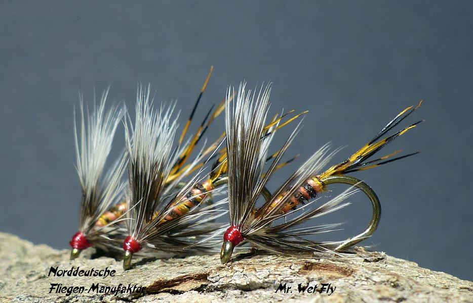 Wet Fly Variationen 0801.JPG