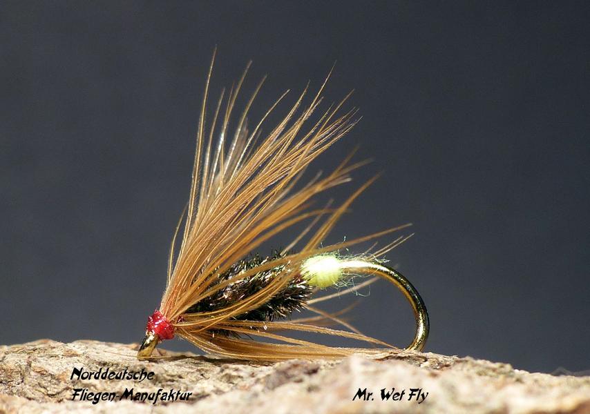 Wet Fly Variationen 0811.JPG