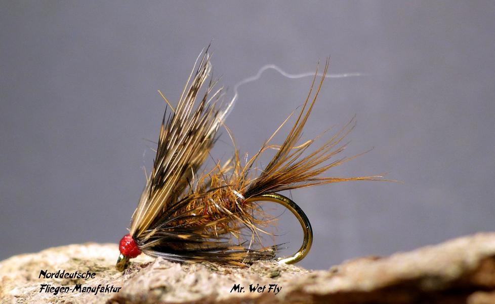 Wet Fly Variationen 0851.JPG