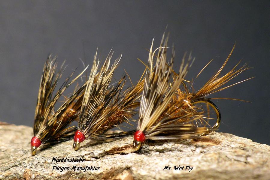 Wet Fly Variationen 0861.JPG
