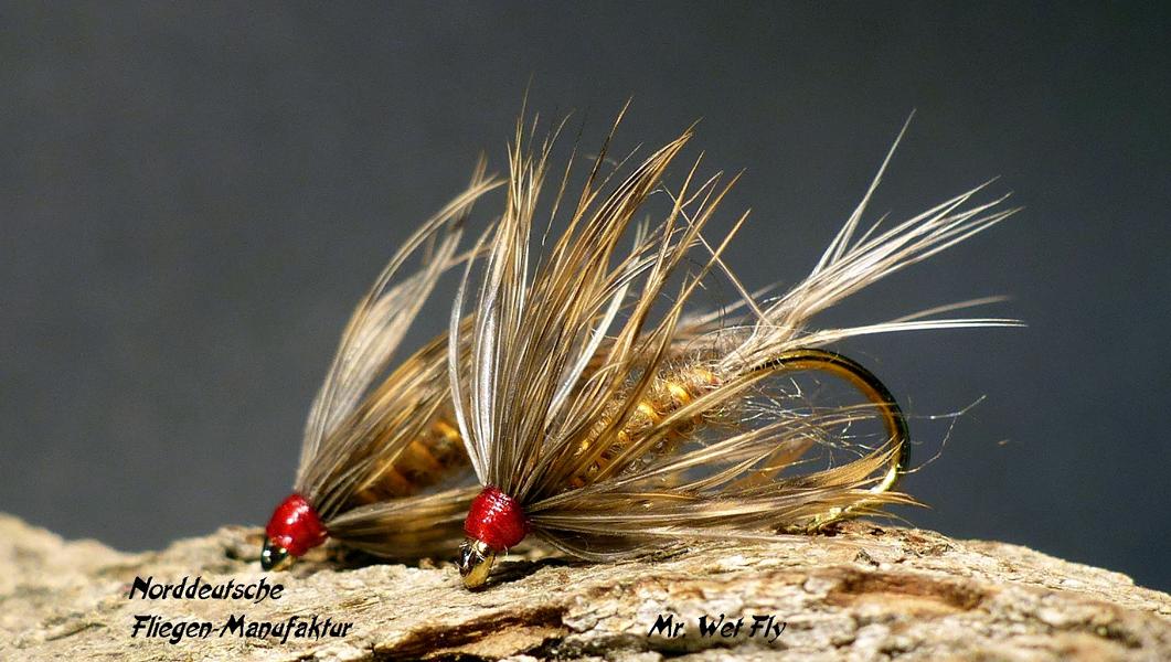 Wet Fly Variationen 0881.JPG