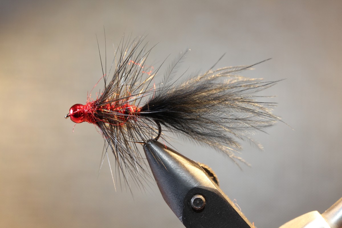 schwarzrot Marabou