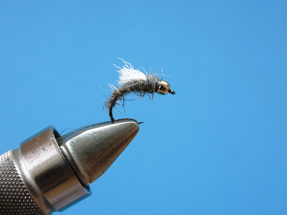 Die graue Nymphe mögen besonders auch die Äschen.