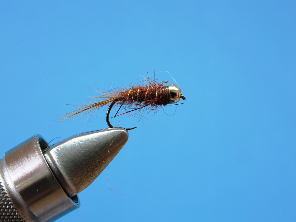 Auf die Braune kann ich mich fast immer verlassen.