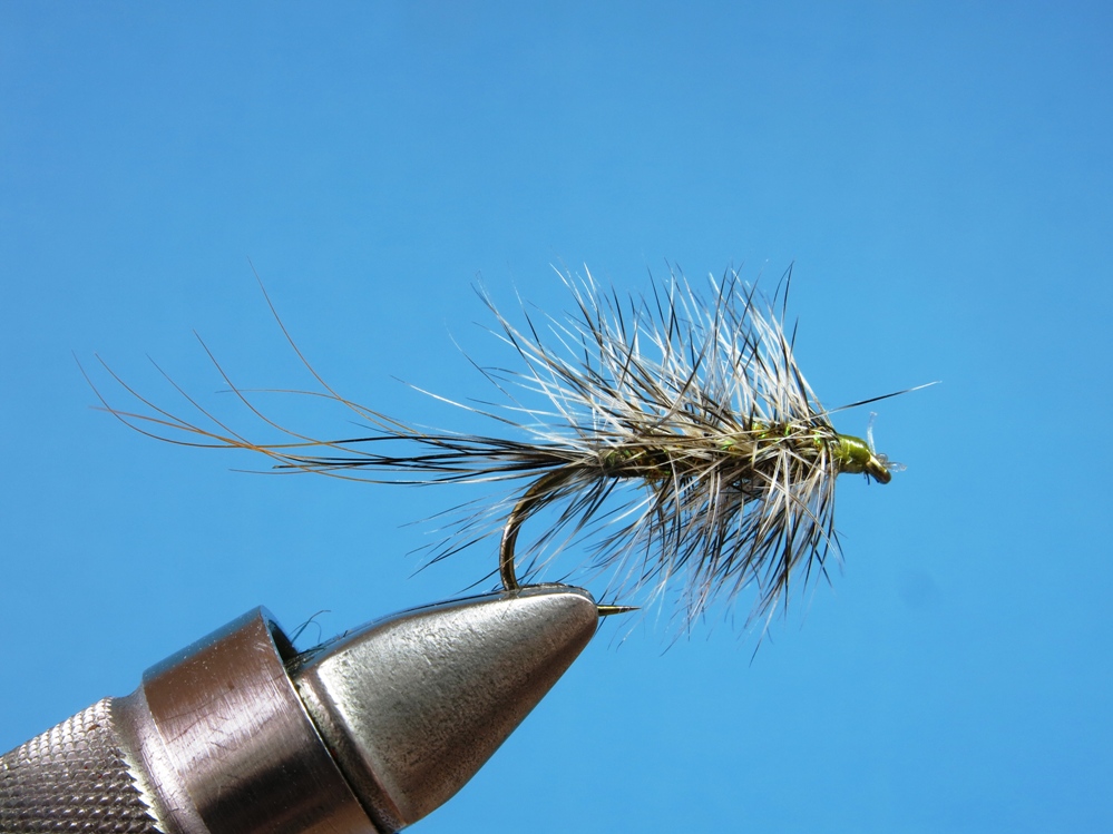 Dieser fast 5cm lange Brummer ist für den Sommer.