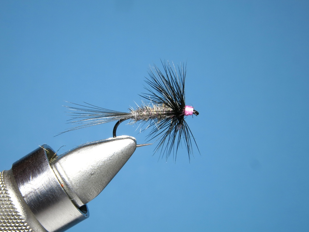 Standard-Trockenfliege.