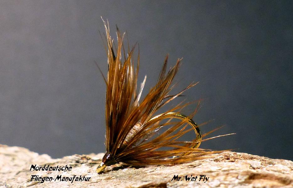 Wet Fly Variationen 0931.JPG