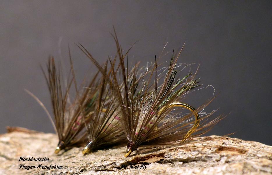 Wet Fly Variationen 0961.JPG