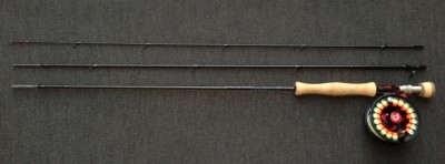 Die die Rute wunderbar ausbalanchierende Rolle ist eine Nautilus FWX 7/8