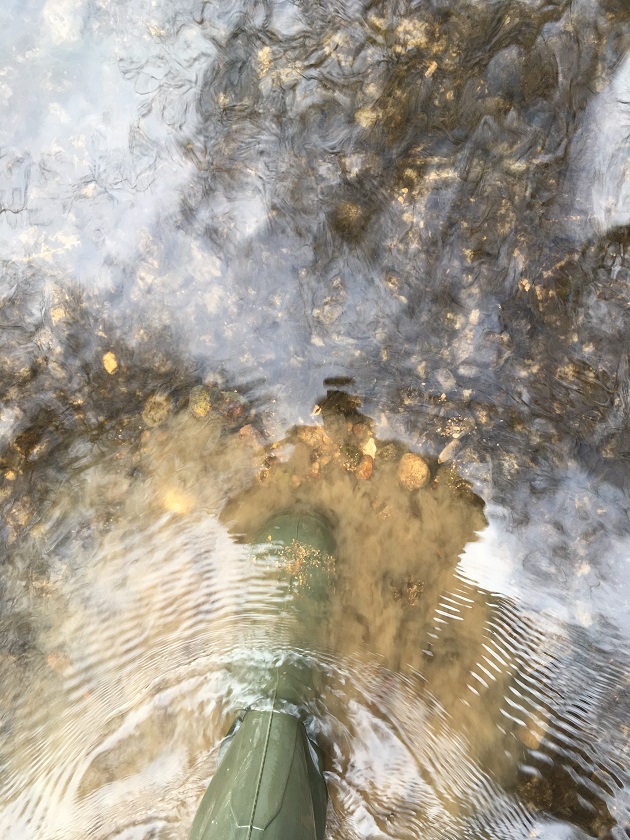 Calciumcarbonat als Schlamm ausgefällt.JPG