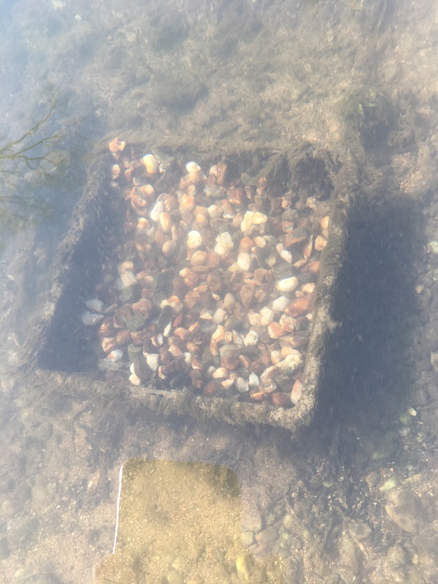 Nach rütteln des Korbes …..JPG