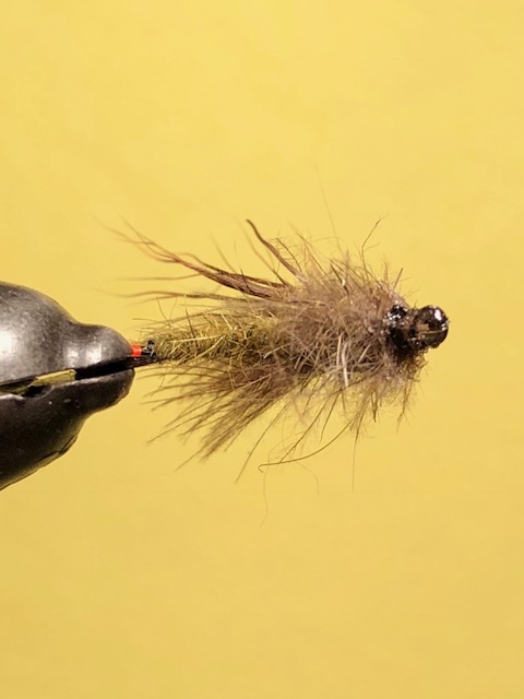 Aufsteiger 12 Haken1 .JPG