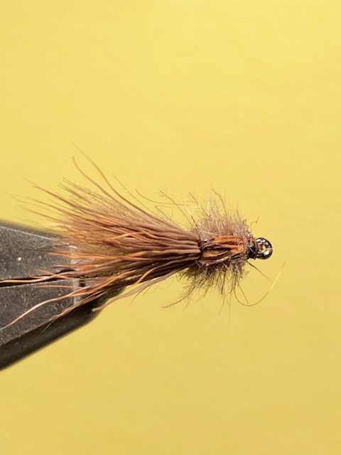 Aufsteiger 12 Haken .JPG