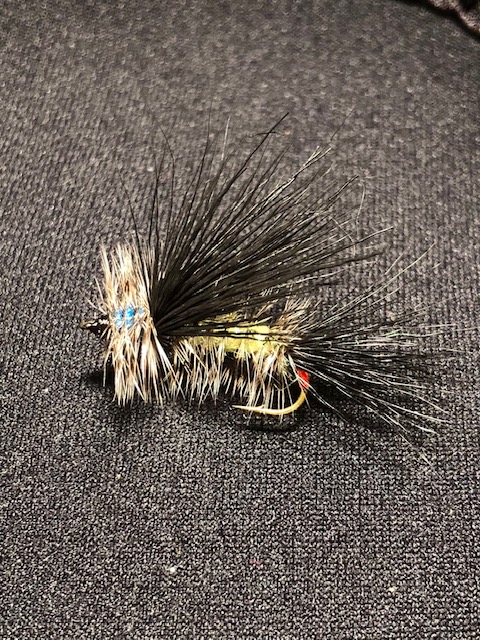 Stimulator Attraktor 1.jpg