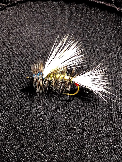 Stimulator Attraktor 2.jpg