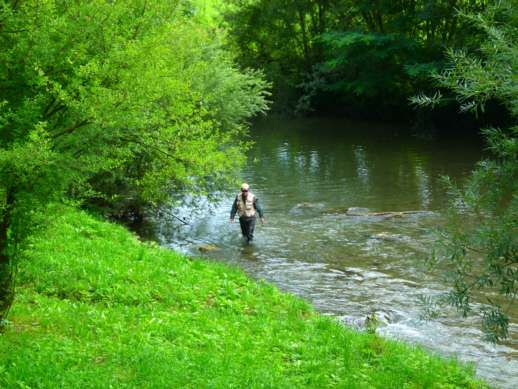 irgendwann muss man leider wieder aussteigen.... ;-(