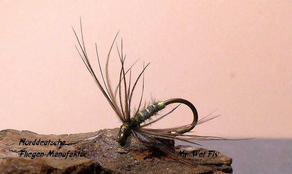 Spider Variationen 0161.JPG