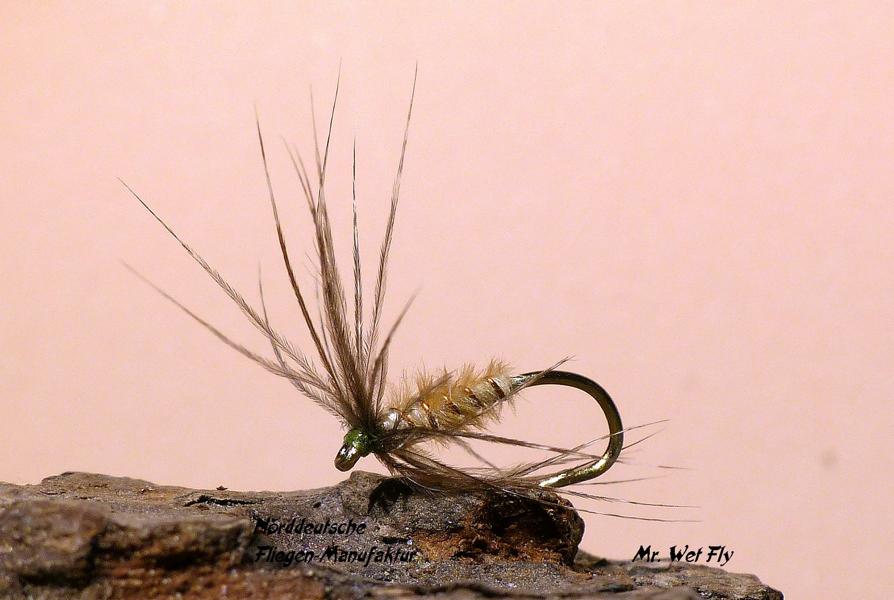 Spider Variationen 0211.JPG