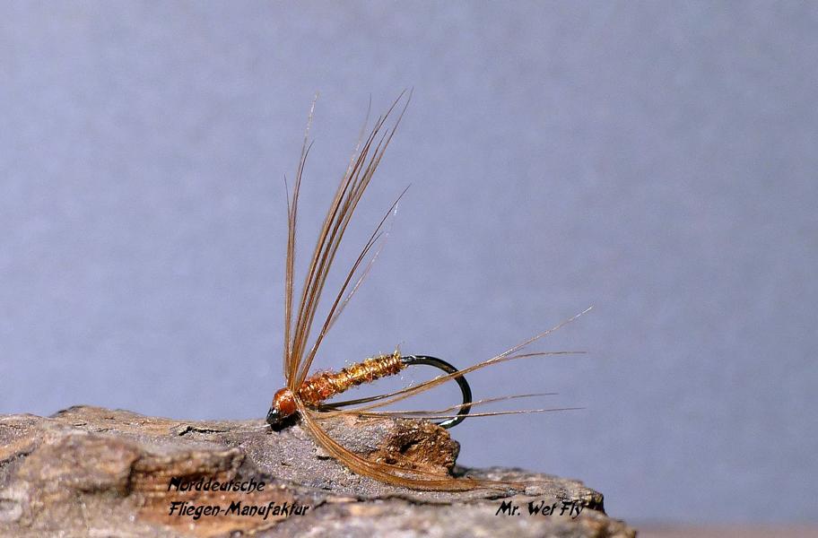 Spider Variationen 0251.JPG