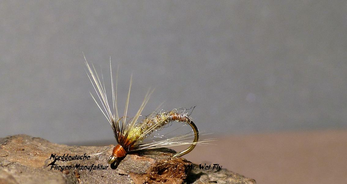Spider Variationen 0271.JPG