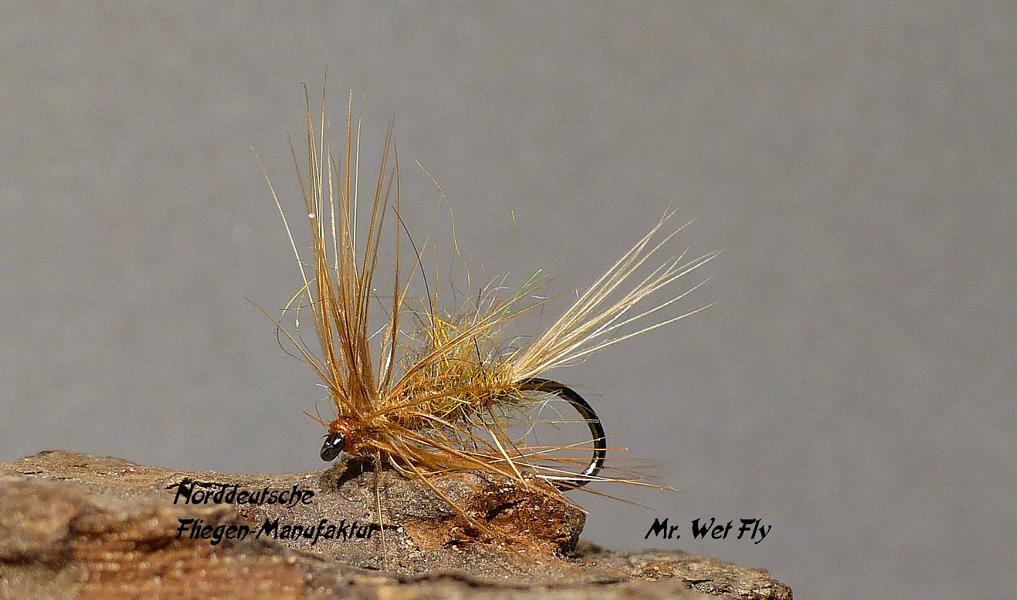 Flymph Variationen 0121.JPG