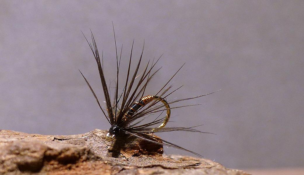 Soft Hackle Variationen 0331.JPG