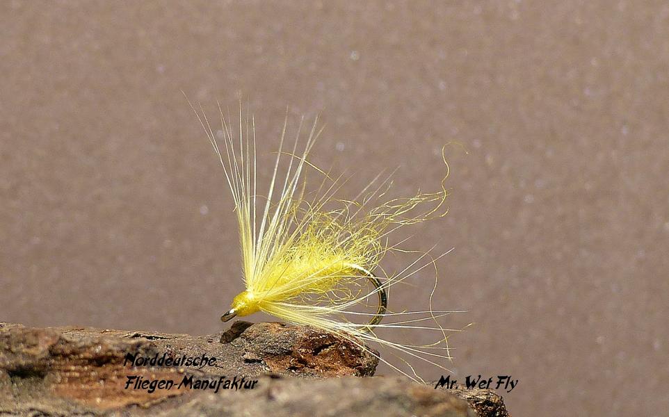 Flymph Variationen 0161.JPG