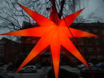 Weihnachtsstern.jpg