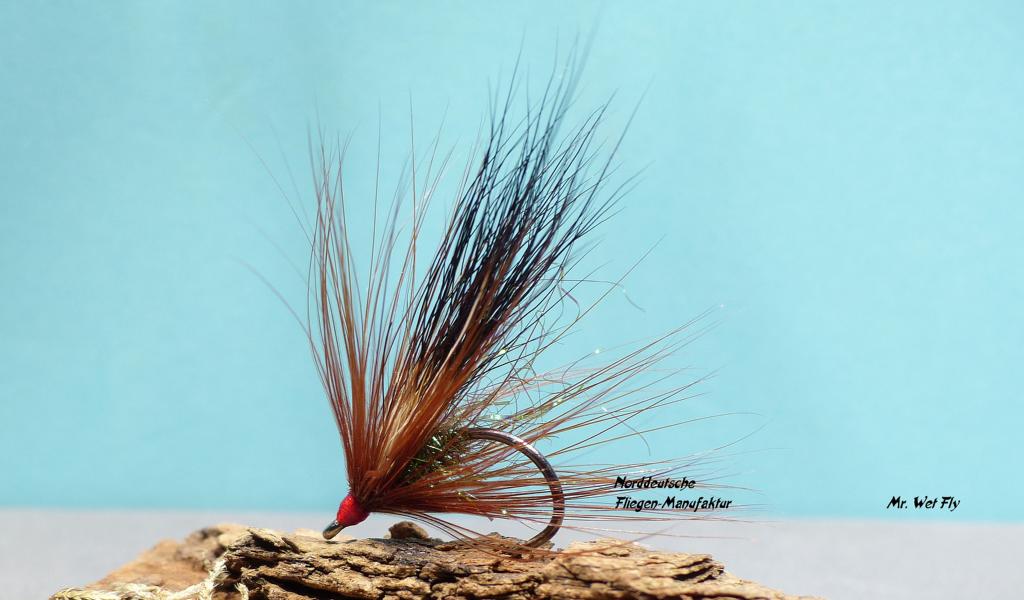 Kleine Streamer #8 0271.JPG