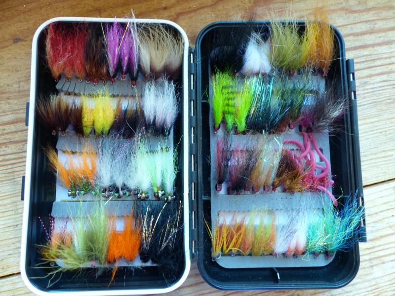 Kleine Streamer #8 0381.JPG