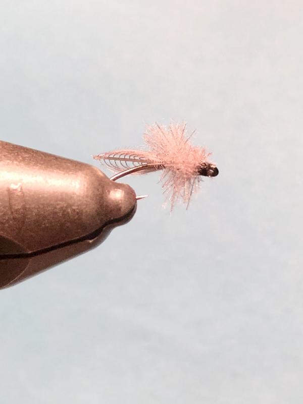 Italienisch CDC2.JPG