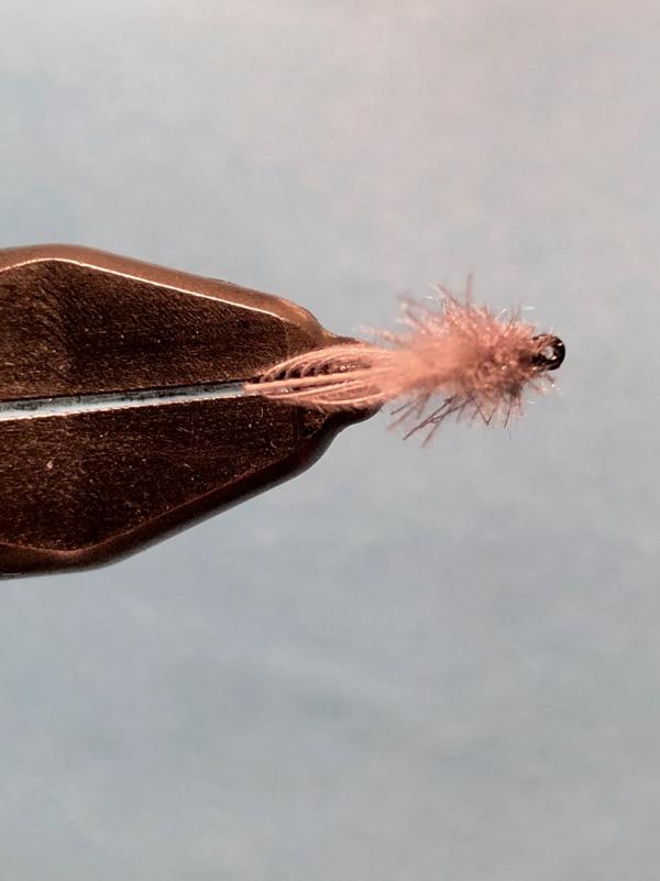 Italienisch CDC1.JPG