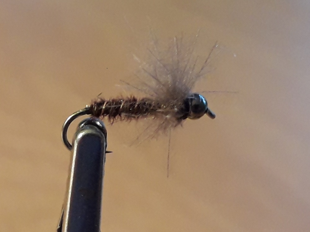 Tungsten Pheasant Tail.jpg