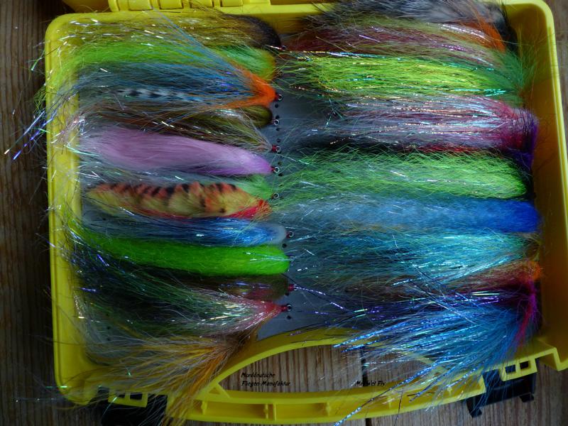 Streamer Variationen 1341.JPG