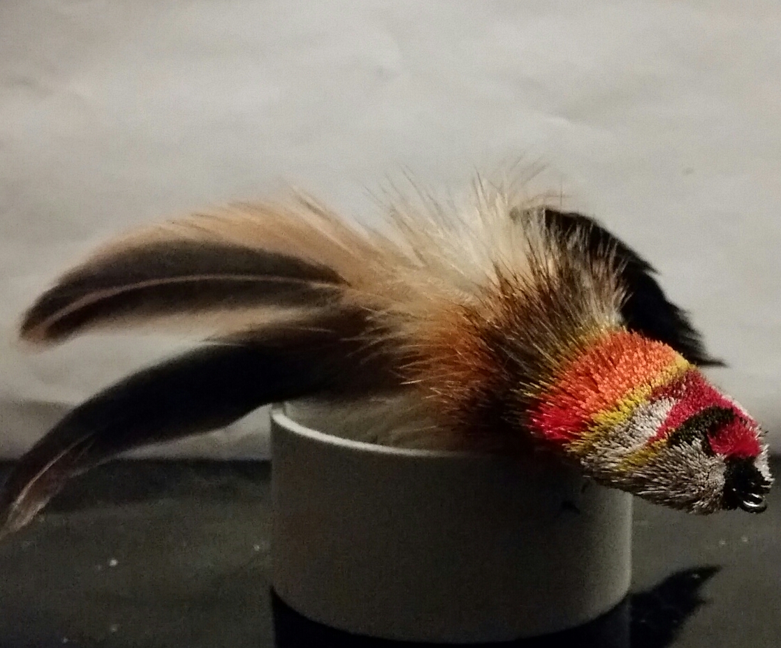 2019-02-03 17.54.35.jpg