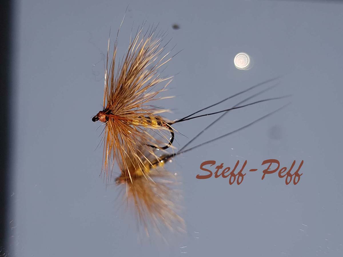 20190207_122141 Kopie.jpg