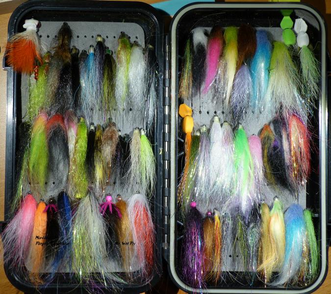 Kleine Streamer 0211.JPG